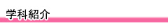 学科紹介